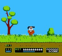 Duckhunt.PNG