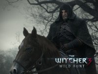 the-witcher-3-wild-hunt_135882_default_base_img.png