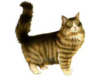 png_cat_by_moonglowlilly-d5n7zqm.png