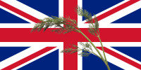 unionjack+ukrop.png