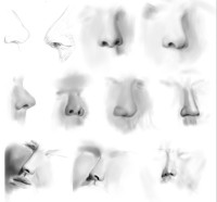 noses.png