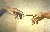 Michelangelo__Adams_Hand.png