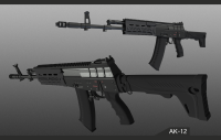 Ak-142.png