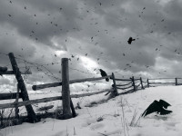 clouds-fences_00411369.png