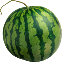 watermelon_PNG2639.png