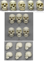 skulls-racist.png