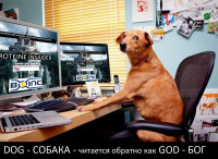 doggod.png