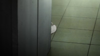 [Ganbarou]-Ajin-Movie-Part-1-Shoudou-[BD-720p].mkv.png