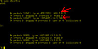 ifconfig.png