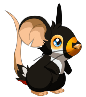 Fourrure_de_toucan.png