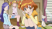 [CureCom]-Fresh-Pretty-Cure-04v2-[HD][6341B09A].mk.png