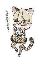 Margay.png