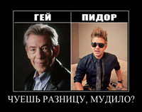 чуешь-разницу-мудило.png