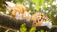 [HorribleSubs]-Kemono-Friends-01-[1080p].mkv_snaps.png