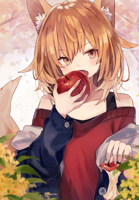 haruka-(reborn)-Kitsune-Animal-Ears-Anime-3842761.png