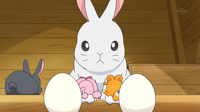 [Wasurenai]_Kamisama_Minarai_Himitsu_no_Cocotama_.png