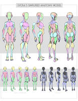 sycra_s_simplified_anatomy_model_by_sycra-da6z3yn.png