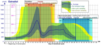 Estradiol_during_menstrual_cycle.png