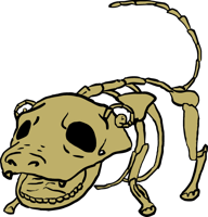 slowpoke_skeleton_by_kostyurik-d9qc4dj.png