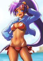 __shantae_shantae_series_drawn_by_finalcake__2bb7c.png