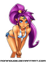 __shantae_shantae_series_drawn_by_ronindude__8a29c.png