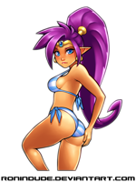 __shantae_shantae_series_drawn_by_ronindude__a5325.png