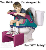 you-think-im-strapped-in-for-my-safety-30712809.png