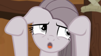 Pinkie_Pie_making_air_quotes_S8E18.png