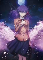 Matou.Sakura.full.2433276.png