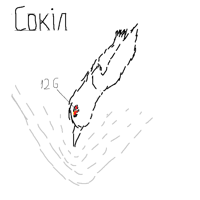 Сокiл.png