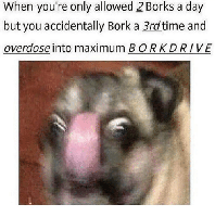 when-youre-only-allowed-2borks-a-day-but-you-accid.png