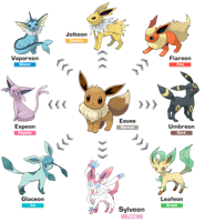 Eeveelutions.png