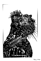 Dorohedoro_v06_p051.png