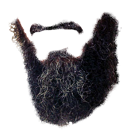 Beard_1_Exploitable.png