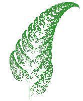 Fractal_fern1.png