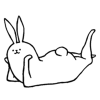 rabbit_1.png