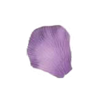 Purple_Rose_Petal.png~c200.png