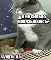 D-76o8LX4AUacBc.png