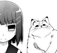 1536994004172.png
