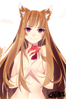 holo_the_wise_wolf_by_r0cket_cat_d938ndq-fullview.png