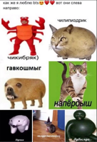 Безымянный-файл-изображения.png