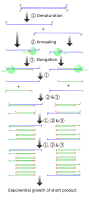 PCR.svg