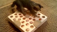 Игрушка-для-кошки-(Toy-for-cats)-wood-cat-toy-YouT.webm