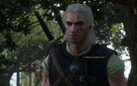 witcher3-2015-09-05-16-35-38-62.webm