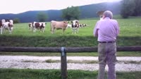 Jazz-for-Cows_1.webm